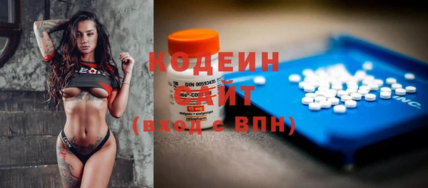дживик Карпинск