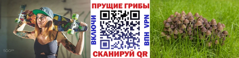 Псилоцибиновые грибы ЛСД  закладка  Кириши 