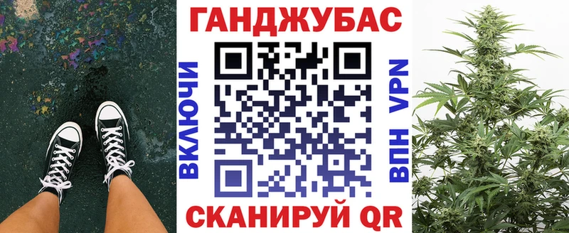OMG ССЫЛКА Кириши Бошки марихуана Amnesia дарнет шоп