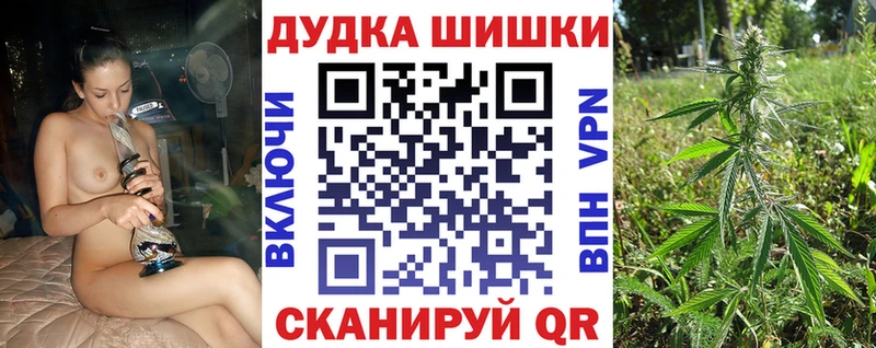 Каннабис ГИДРОПОН Кириши
